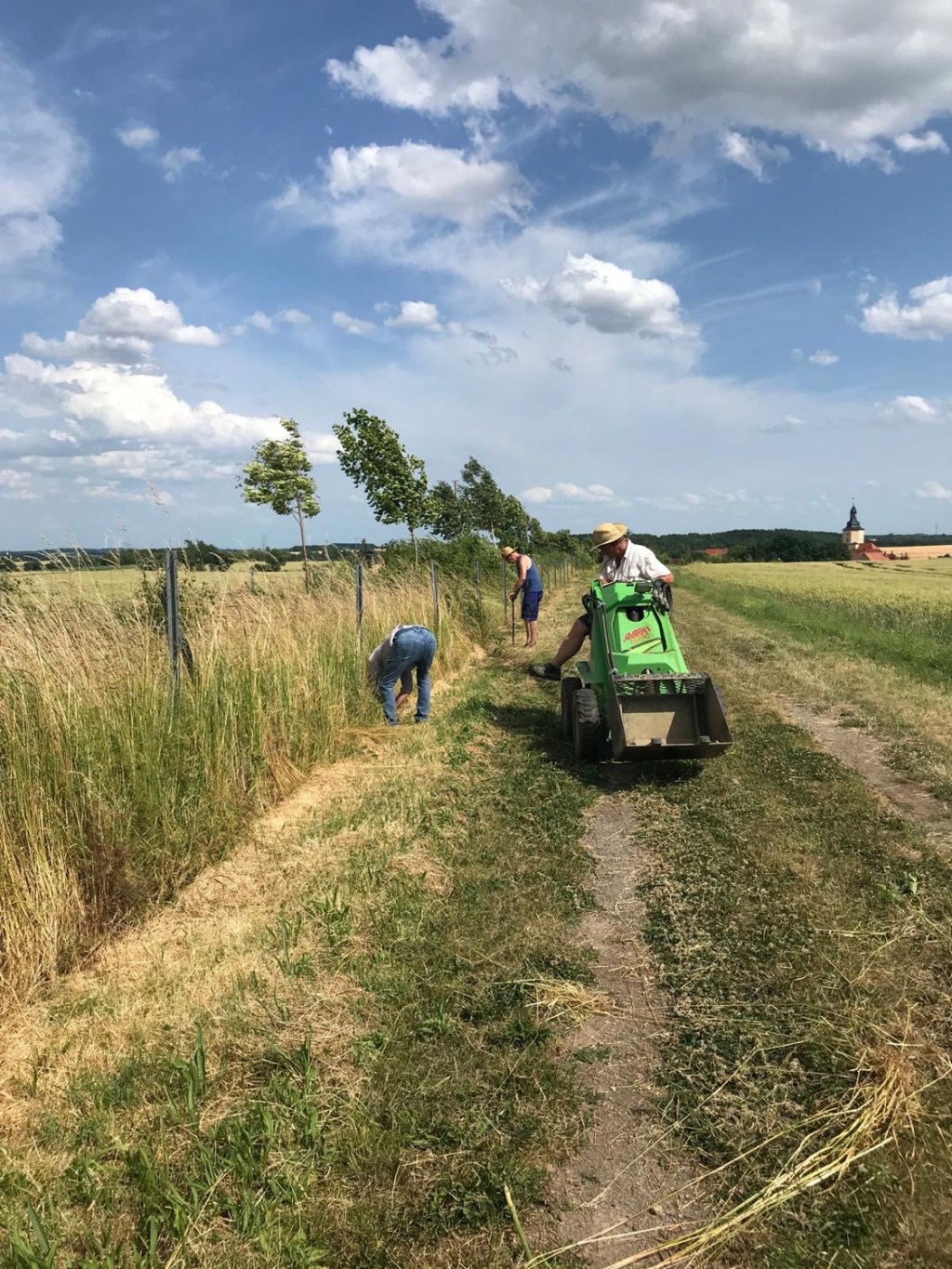 Wildzaunentfernung (die 2.)